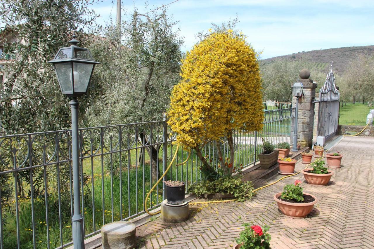 Le Coccole Del Trasimeno Guest House Tuoro sul Trasimeno Exterior photo